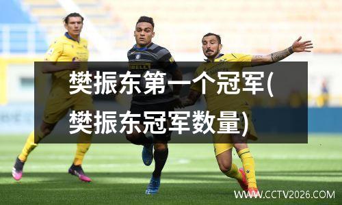 樊振东第一个冠军(樊振东冠军数量)