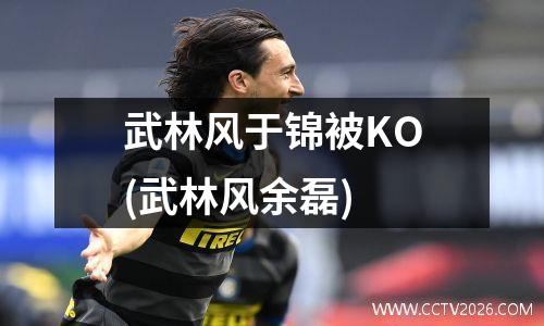 武林风于锦被KO(武林风余磊)