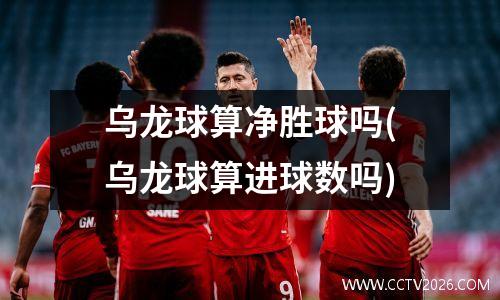 乌龙球算净胜球吗(乌龙球算进球数吗)