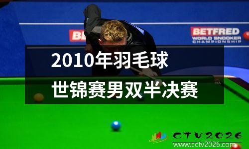 2010年羽毛球世锦赛男双半决赛