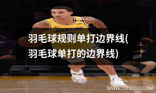 羽毛球规则单打边界线(羽毛球单打的边界线)