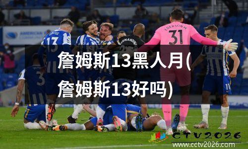 詹姆斯13黑人月(詹姆斯13好吗)