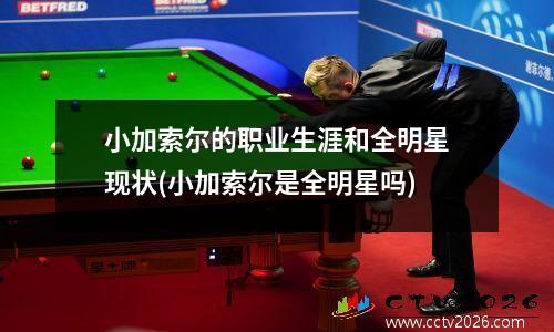 小加索尔的职业生涯和全明星现状(小加索尔是全明星吗)