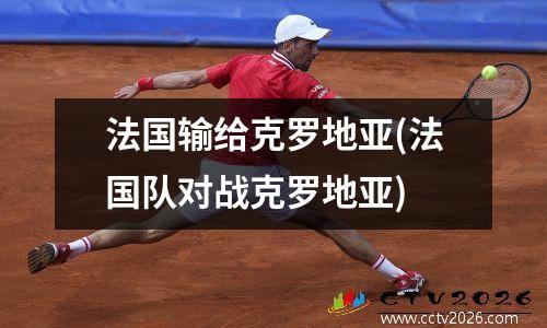 法国输给克罗地亚(法国队对战克罗地亚)