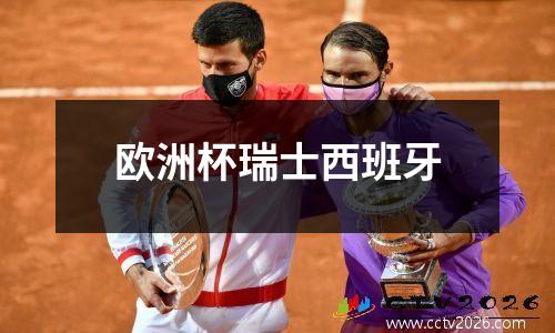 欧洲杯瑞士西班牙