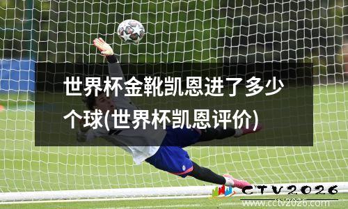 世界杯金靴凯恩进了多少个球(世界杯凯恩评价)