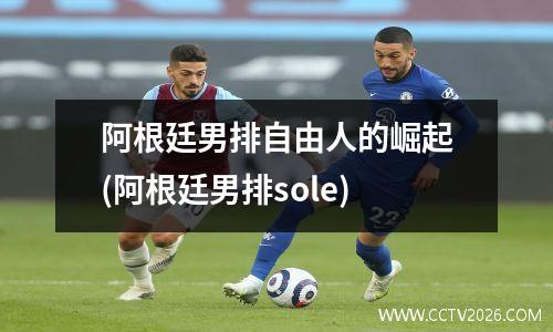 阿根廷男排自由人的崛起(阿根廷男排sole)