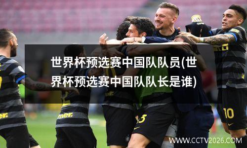 世界杯预选赛中国队队员(世界杯预选赛中国队队长是谁)