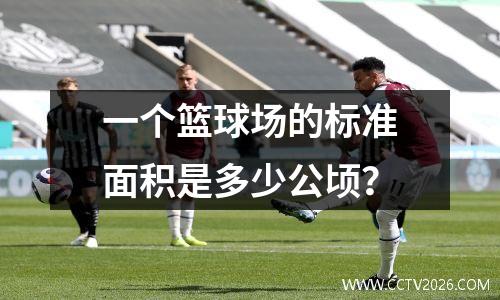 一个篮球场的标准面积是多少公顷？