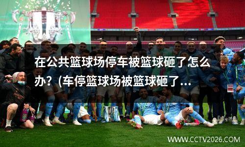 在公共篮球场停车被篮球砸了怎么办？(车停篮球场被篮球砸了要赔钱吗)