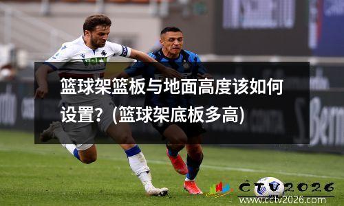 篮球架篮板与地面高度该如何设置？(篮球架底板多高)