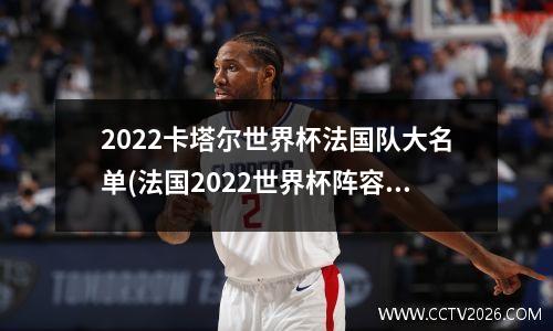 2022卡塔尔世界杯法国队大名单(法国2022世界杯阵容)