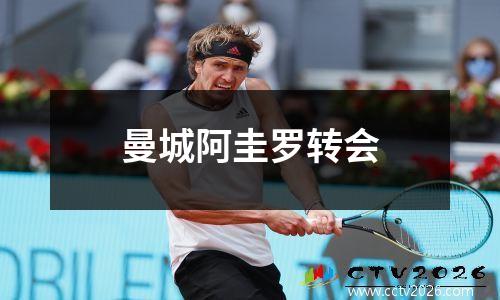曼城阿圭罗转会