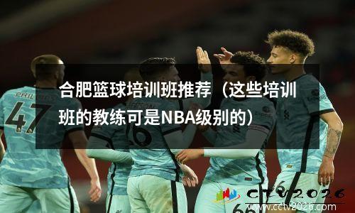 合肥篮球培训班推荐（这些培训班的教练可是NBA级别的）