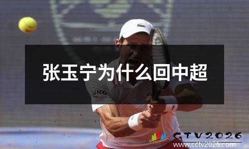 张玉宁为什么回中超