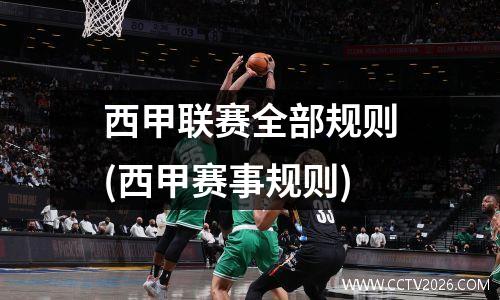 西甲联赛全部规则(西甲赛事规则)