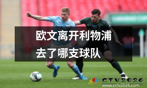 欧文离开利物浦去了哪支球队