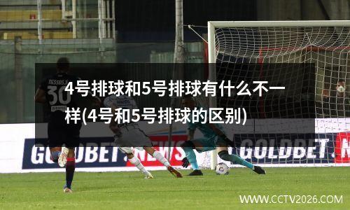 4号排球和5号排球有什么不一样(4号和5号排球的区别)
