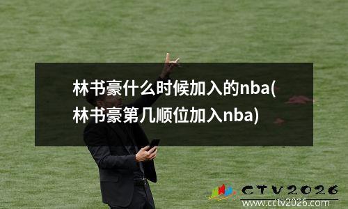 林书豪什么时候加入的nba(林书豪第几顺位加入nba)