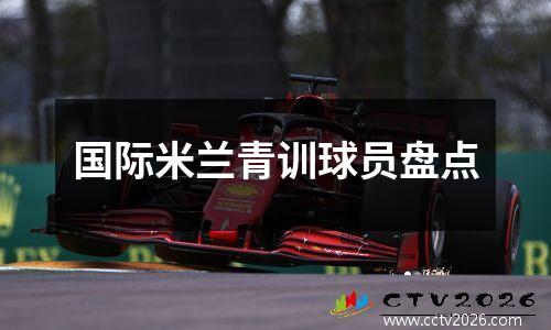 国际米兰青训球员盘点