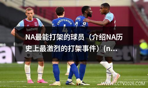 NA最能打架的球员（介绍NA历史上最激烈的打架事件）(nba打架最强的人)
