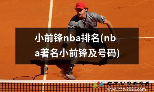 小前锋nba排名(nba著名小前锋及号码)