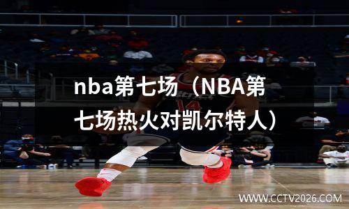 nba第七场（NBA第七场热火对凯尔特人）