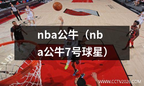 nba公牛（nba公牛7号球星）