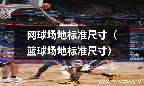 网球场地标准尺寸（篮球场地标准尺寸）