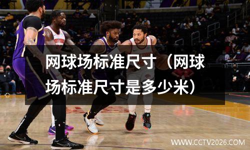 网球场标准尺寸（网球场标准尺寸是多少米）