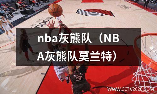 nba灰熊队（NBA灰熊队莫兰特）
