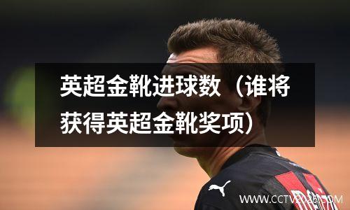 英超金靴进球数（谁将获得英超金靴奖项）
