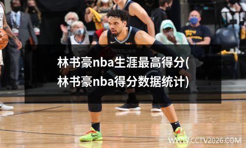 林书豪nba生涯最高得分(林书豪nba得分数据统计)