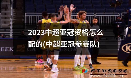 2023中超亚冠资格怎么配的(中超亚冠参赛队)