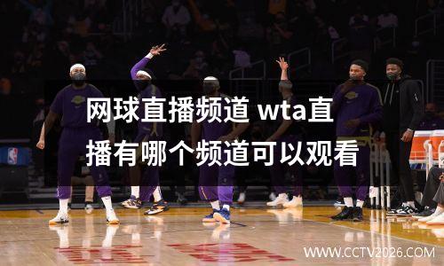 网球直播频道 wta直播有哪个频道可以观看