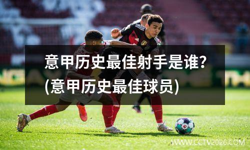 意甲历史最佳射手是谁？(意甲历史最佳球员)
