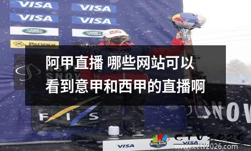 阿甲直播 哪些网站可以看到意甲和西甲的直播啊