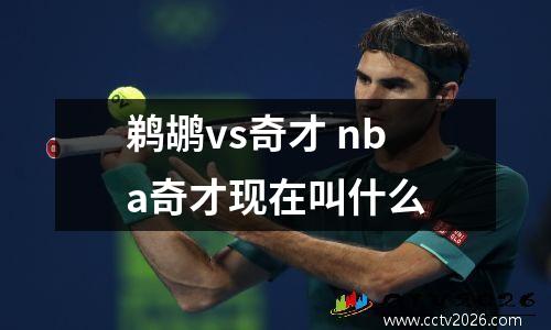 鹈鹕vs奇才 nba奇才现在叫什么
