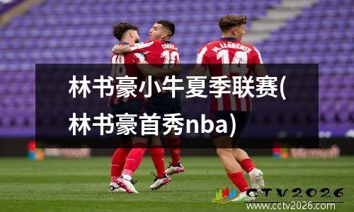 林书豪小牛夏季联赛(林书豪首秀nba)