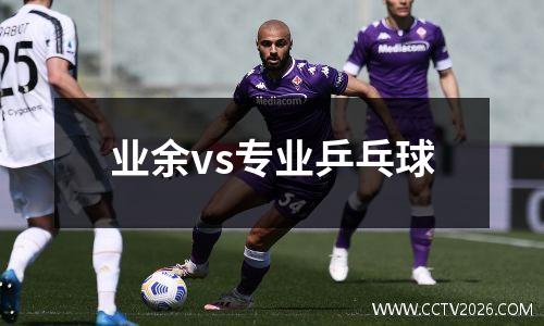 业余vs专业乒乓球