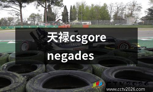 2018中超长春vs大连