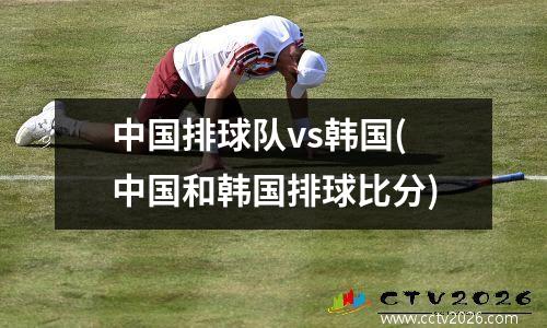 中国排球队vs韩国(中国和韩国排球比分)