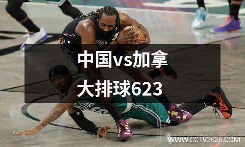 中国vs加拿大排球623