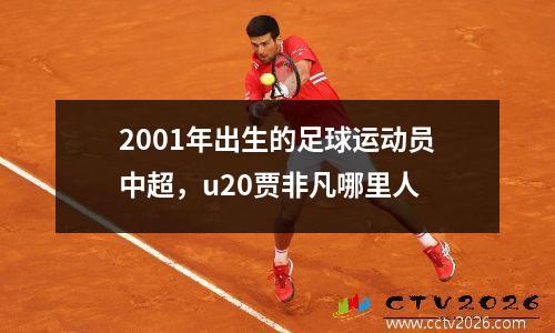 2001年出生的足球运动员中超，u20贾非凡哪里人