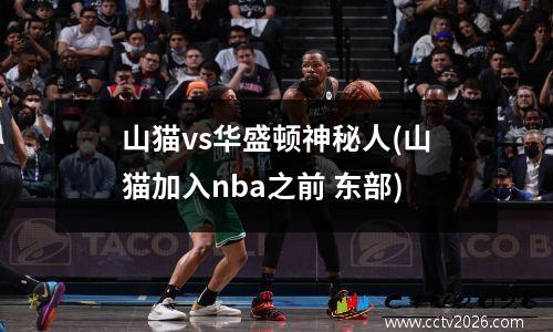 山猫vs华盛顿神秘人(山猫加入nba之前 东部)