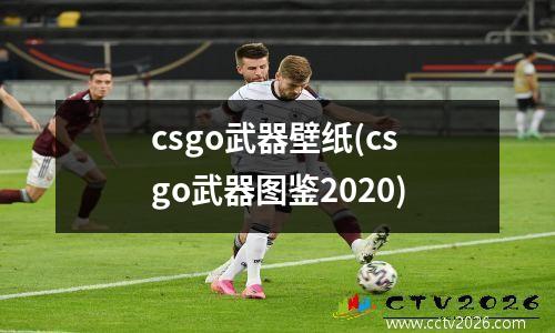 比利时vs巴拿马竞彩5(比利时vs巴西历史战绩)
