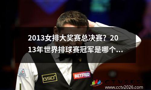 2013女排大奖赛总决赛？2013年世界排球赛冠军是哪个队