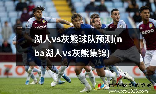 湖人vs灰熊球队预测(nba湖人vs灰熊集锦)