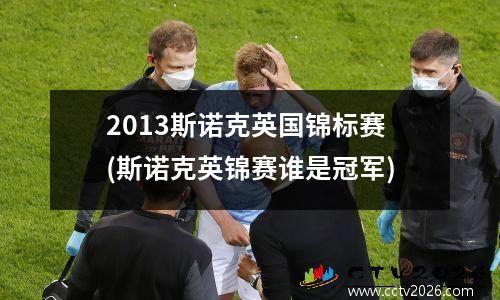 2013斯诺克英国锦标赛(斯诺克英锦赛谁是冠军)