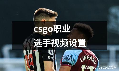 csgo职业选手视频设置